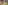 Small placeholder thumbnail